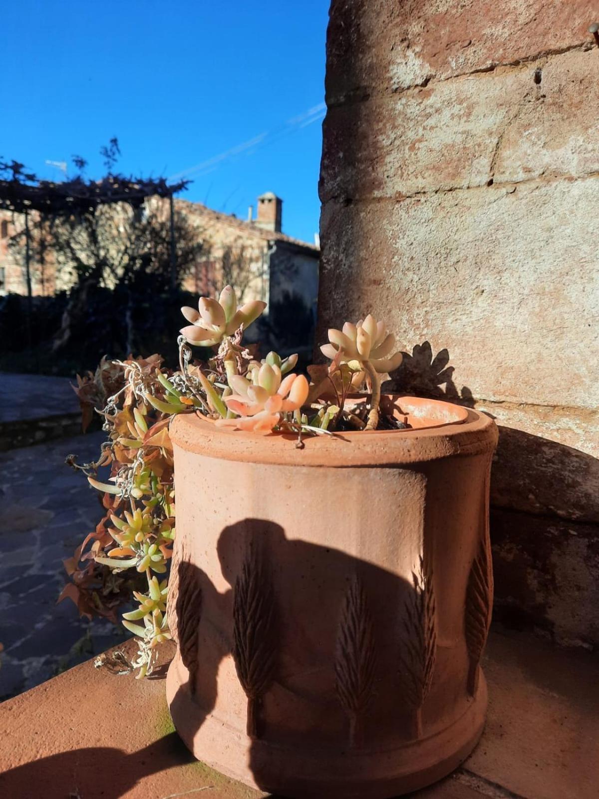 Сasa de vacaciones Al Piccolo Ulivo, A Casa Di Mimo&se Castiglione dʼOrcia