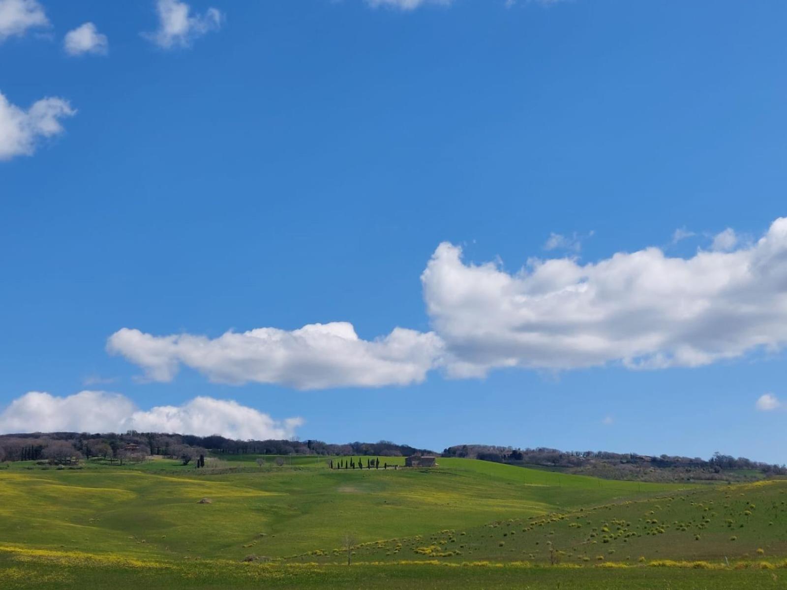 Al Piccolo Ulivo, A Casa Di Mimo&se Castiglione dʼOrcia