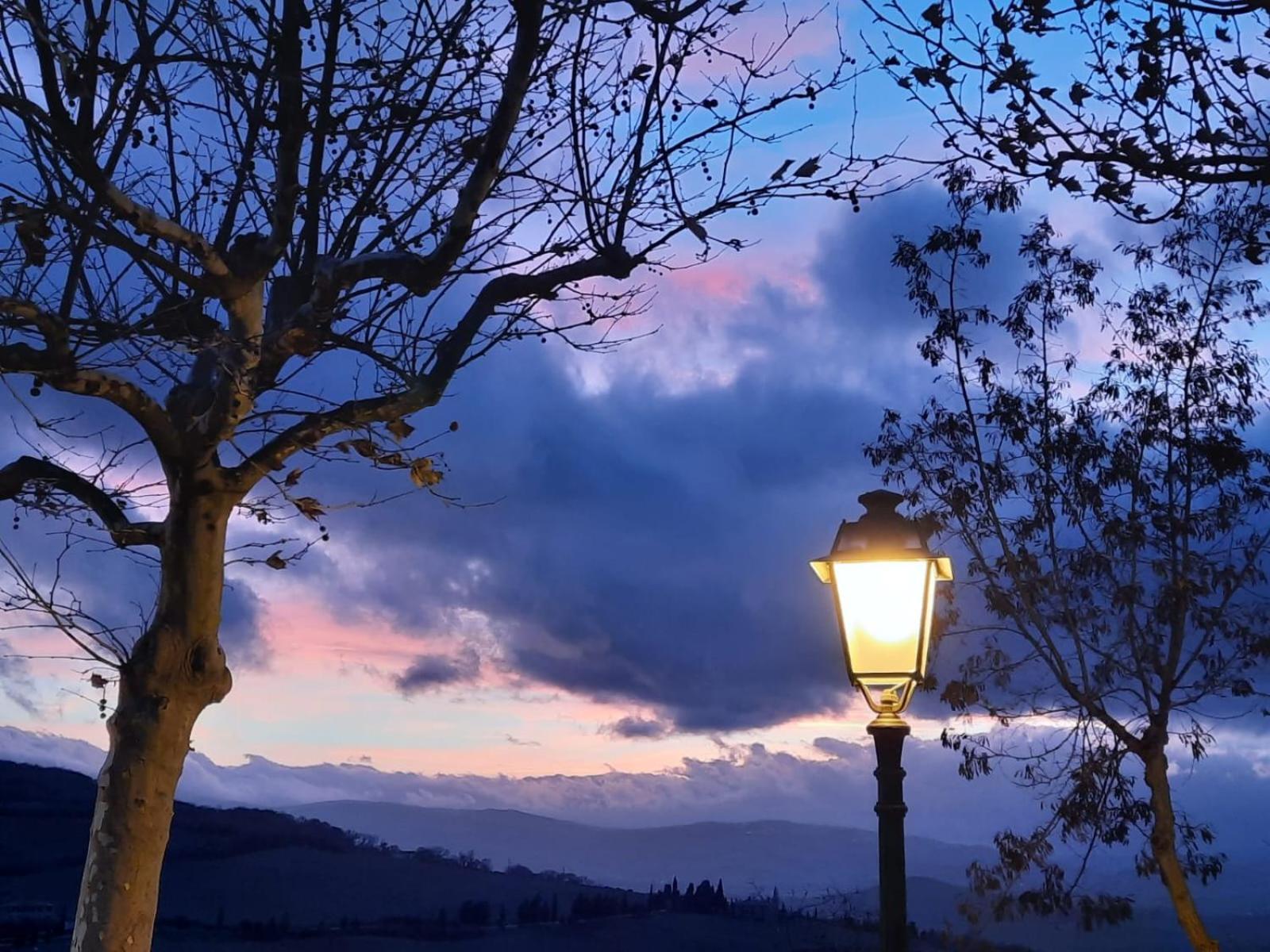 Al Piccolo Ulivo, A Casa Di Mimo&se