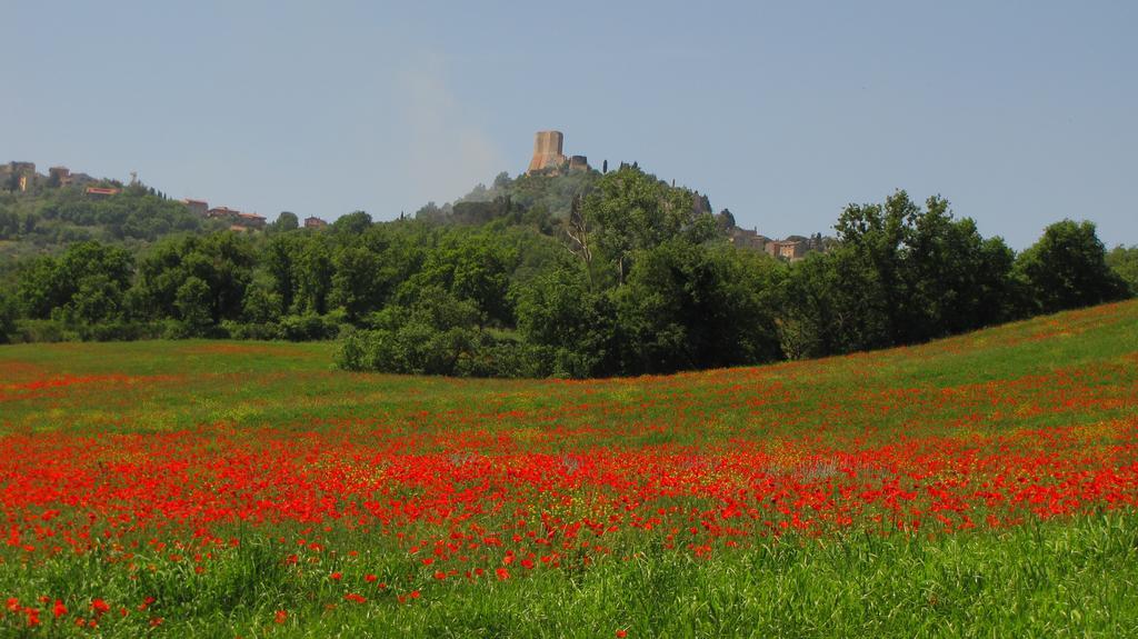 Al Piccolo Ulivo, A Casa Di Mimo&se Сasa de vacaciones Castiglione dʼOrcia