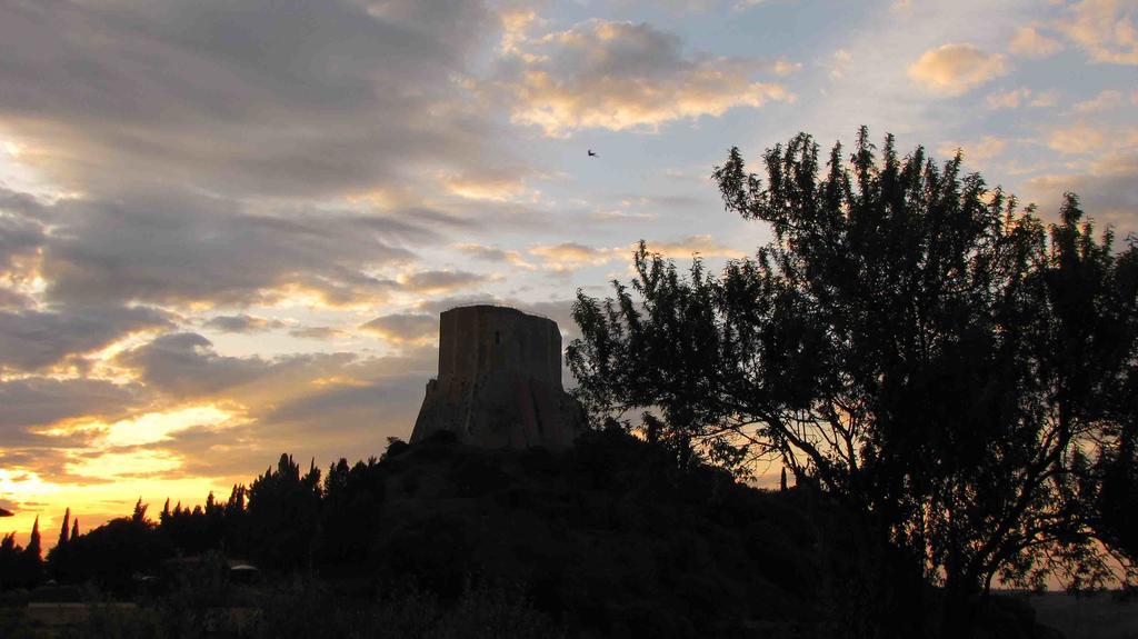 Al Piccolo Ulivo, A Casa Di Mimo&se Сasa de vacaciones Castiglione dʼOrcia